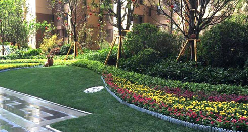 園林綠化施工淺談樹下樹的栽培養護方式