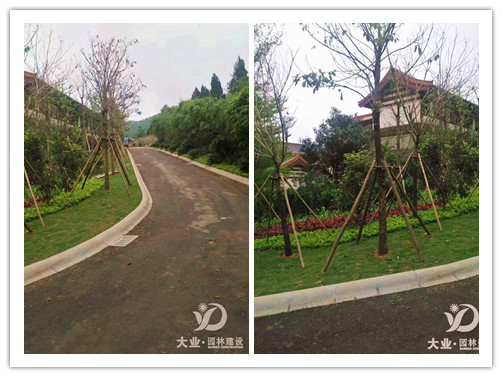 園林綠化工程施工及驗收規范