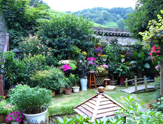 園林植物種植設計的原則是什么?