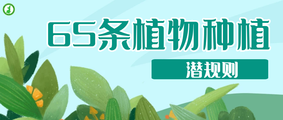 65條植物種植潛規則，園林人的血淚總結 ！